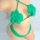 Green Floral Two Piece Exotic Dancer Outfit